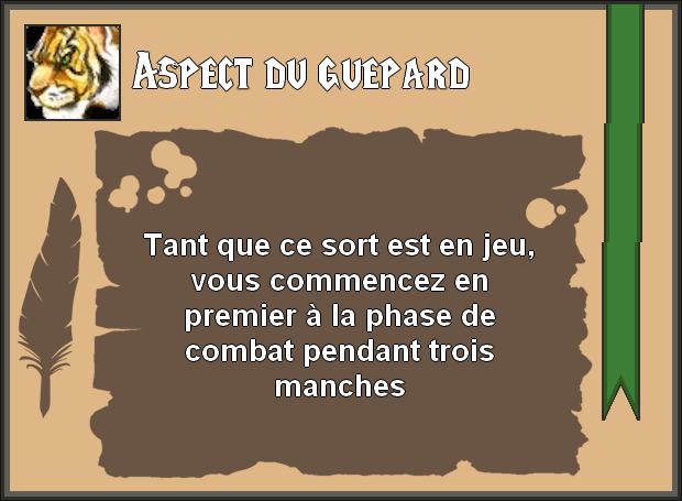 Aspect du guépard