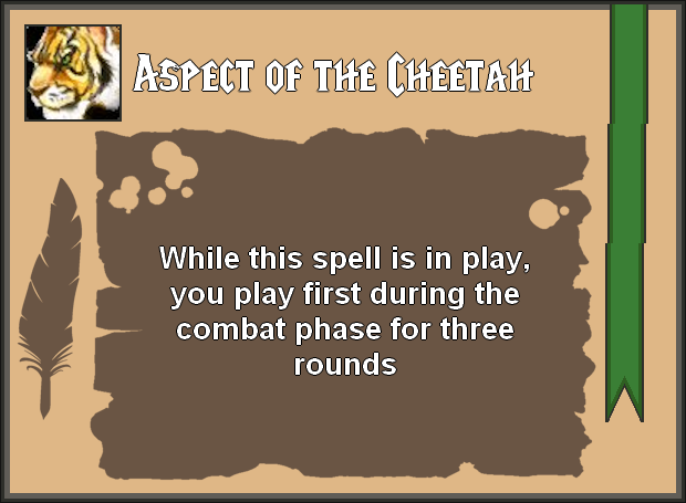 Aspect of the Cheetah